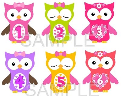 Ella - Cutest Owl Girls in Town Monthly Photo Stickers
