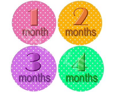 Emilia - Colorful Polkadots Monthly Photo Stickers