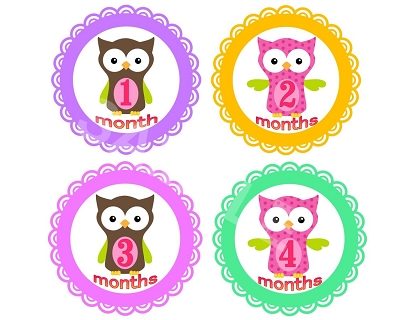 Emily - Cute Owl Monthly Photo Stickers