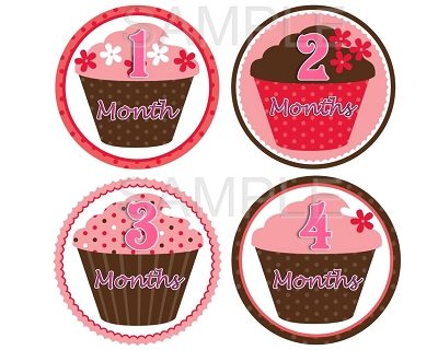 Erica - Sweet Cupcakes Monthly Photo Stickers