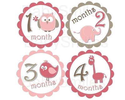 Erin - Cutest Baby Girl Animals Monthly Photo Stickers