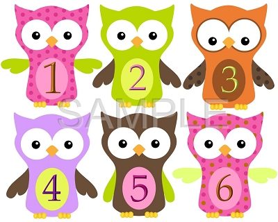 Evelyn - Lovely Owls Monthly Photo Stickers