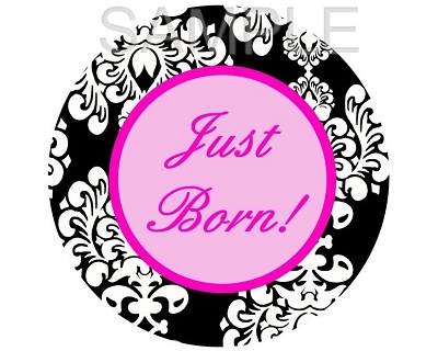 Farah - Multi Colored Damask Monthly Photo Stickers