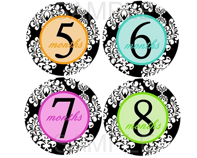 Farah - Multi Colored Damask Monthly Photo Stickers