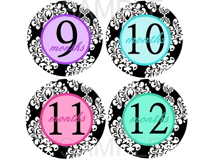 Farah - Multi Colored Damask Monthly Photo Stickers