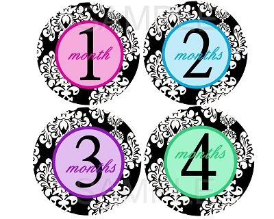 Farah - Multi Colored Damask Monthly Photo Stickers