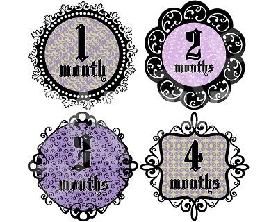 Fiona - Purple Elegance Monthly Photo Stickers