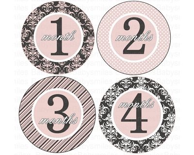 Gracie - Beautiful Sophisticated Pink and Grey Patterns Monthly Photo Stickers