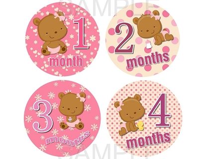 Haily - Sweet Teddy Bear Baby Girl Monthly Photo Stickers