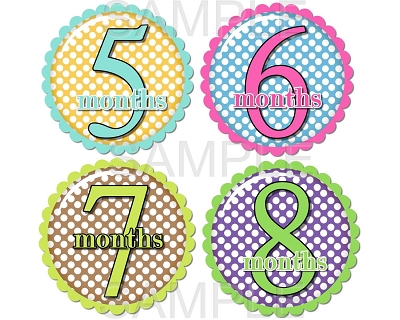 Iris - Super Sweet Polka Dots Monthly Photo Stickers