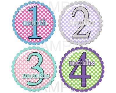 Iris - Super Sweet Polka Dots Monthly Photo Stickers