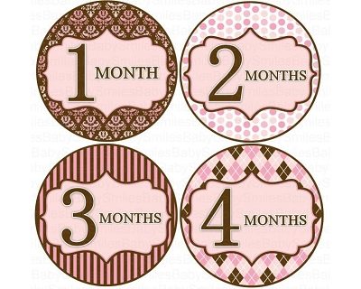 Jennifer - Beautiful Pink and Brown Patterns Monthly Photo Stickers
