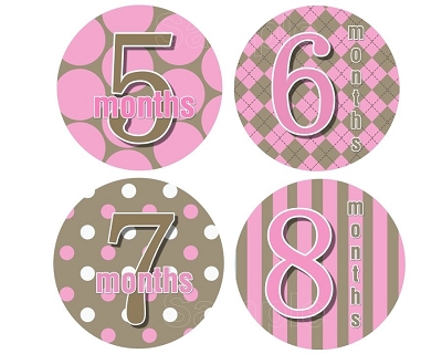 Jenny - Mod Baby Pink Monthly Photo Stickers Monthly Photo Stickers