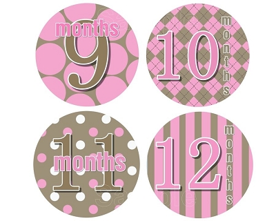 Jenny - Mod Baby Pink Monthly Photo Stickers Monthly Photo Stickers
