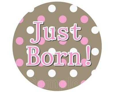 Jenny - Mod Baby Pink Monthly Photo Stickers Monthly Photo Stickers