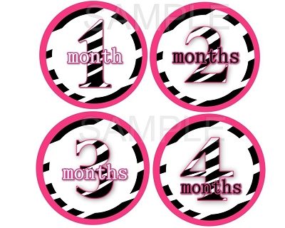 Jessie - Hot Pink Zebra Girl Monthly Photo Stickers
