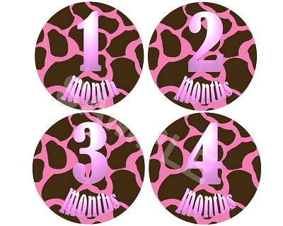 Josie - Pinky Giraffe Monthly Photo Stickers
