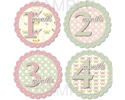 Julia - Beautiful Butterflies and Polka Dots Monthly Photo Stickers