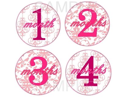 Juliet - Pink Elegance Monthly Photo Stickers