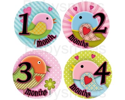 Kaelyn - Sweet Lovely Girly Birds Monthly Photo Stickers