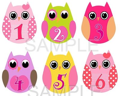 Kate - Super Cute Baby Owl Girls Monthly Photo Stickers