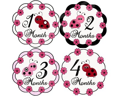 Kaylee - Lucky Ladybug Monthly Photo Stickers