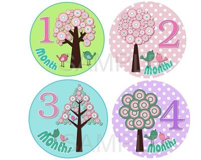 Leah - Beautiful Day Monthly Photo Stickers