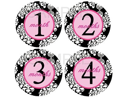 Lillian - Pink Damask Monthly Photo Stickers