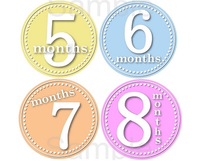 Lisa - Beautiful Pastel Colors Monthly Photo Stickers