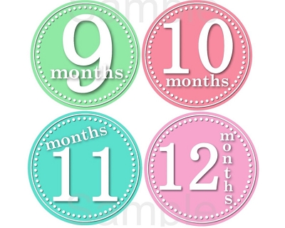 Lisa - Beautiful Pastel Colors Monthly Photo Stickers