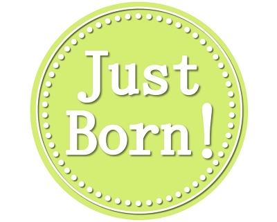 Lisa - Beautiful Pastel Colors Monthly Photo Stickers