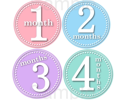 Lisa - Beautiful Pastel Colors Monthly Photo Stickers