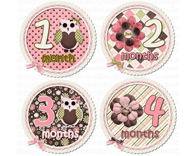 Lucy - Cute Owl with Beautiful Flowers Monthly Photo Stickers