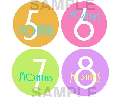 Macy - Simple Happiness Monthly Photo Stickers