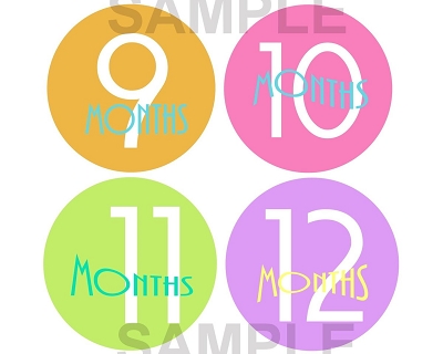 Macy - Simple Happiness Monthly Photo Stickers