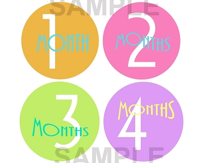 Macy - Simple Happiness Monthly Photo Stickers