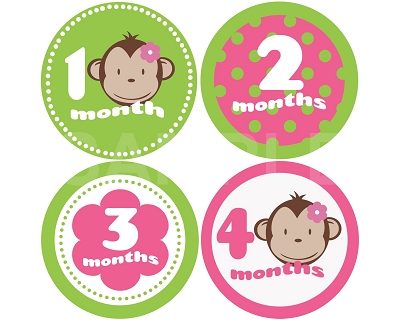 Mckenzie - Mod Monkey Monthly Photo Stickers