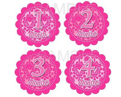 Melody - Pretty Lady Pink Damask Monthly Photo Stickers