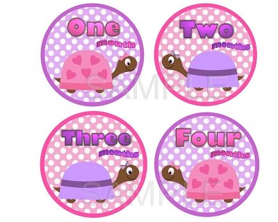Mia - Cute Turtle Monthly Photo Stickers
