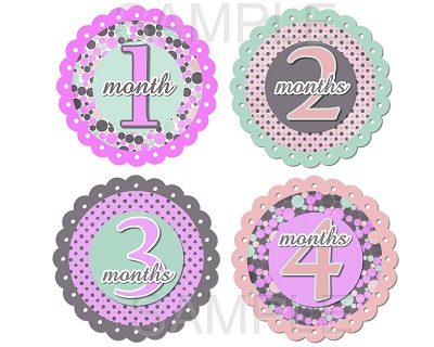 Molly - Fancy Dots Monthly Photo Stickers