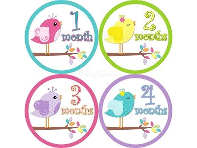 Nadine - Lil Sweet Baby Birds Monthly Photo Stickers