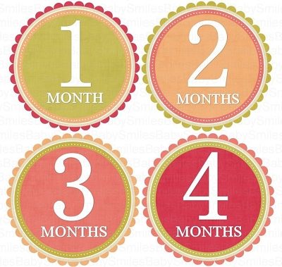 Natalie - Sweet Pink, Peach, Red and Green Design Monthly Photo Stickers