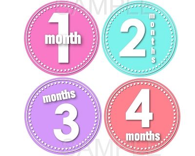 Nora - Happy Lil Girl Monthly Photo Stickers