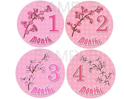 Penelope - Beautiful Cherry Blossoms Monthly Photo Stickers