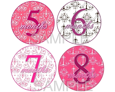 Phoebe - Pretty Elegance Monthly Photo Stickers