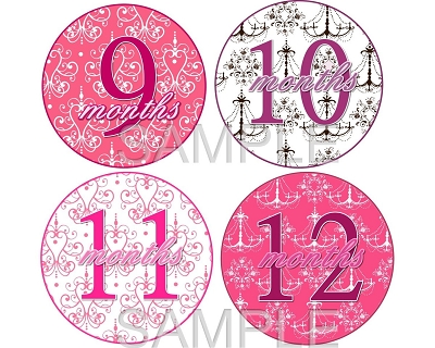 Phoebe - Pretty Elegance Monthly Photo Stickers