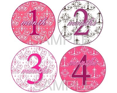 Phoebe - Pretty Elegance Monthly Photo Stickers