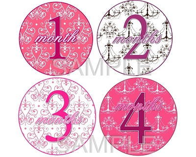 Phoebe - Pretty Elegance Monthly Photo Stickers