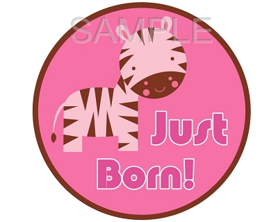 Rachel - Girl Safari Monthly Photo Stickers