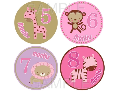 Rachel - Girl Safari Monthly Photo Stickers